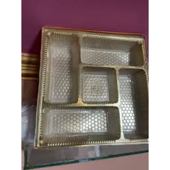 Standard Plastic Disposable Trays